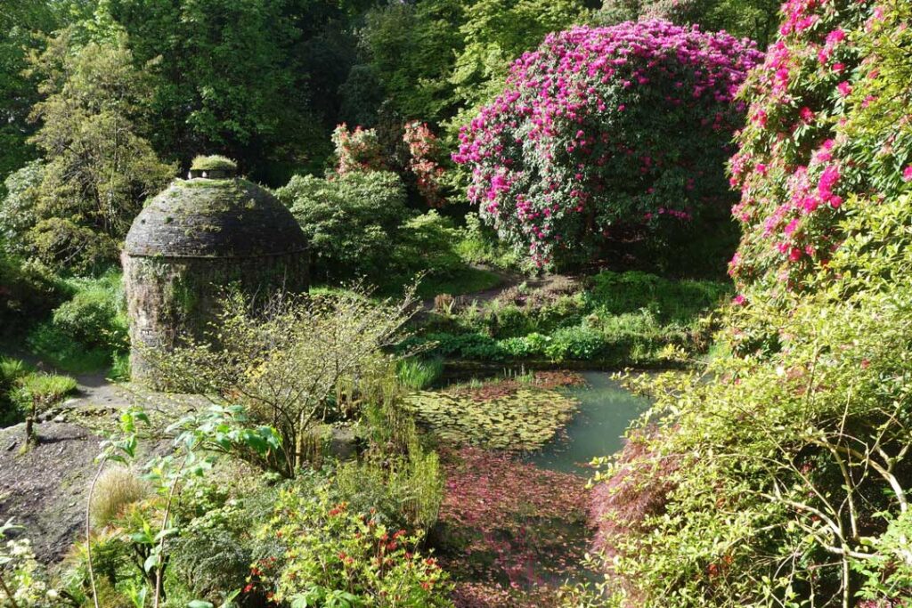 Cotehele Valley Garden in spring with woodland and stream