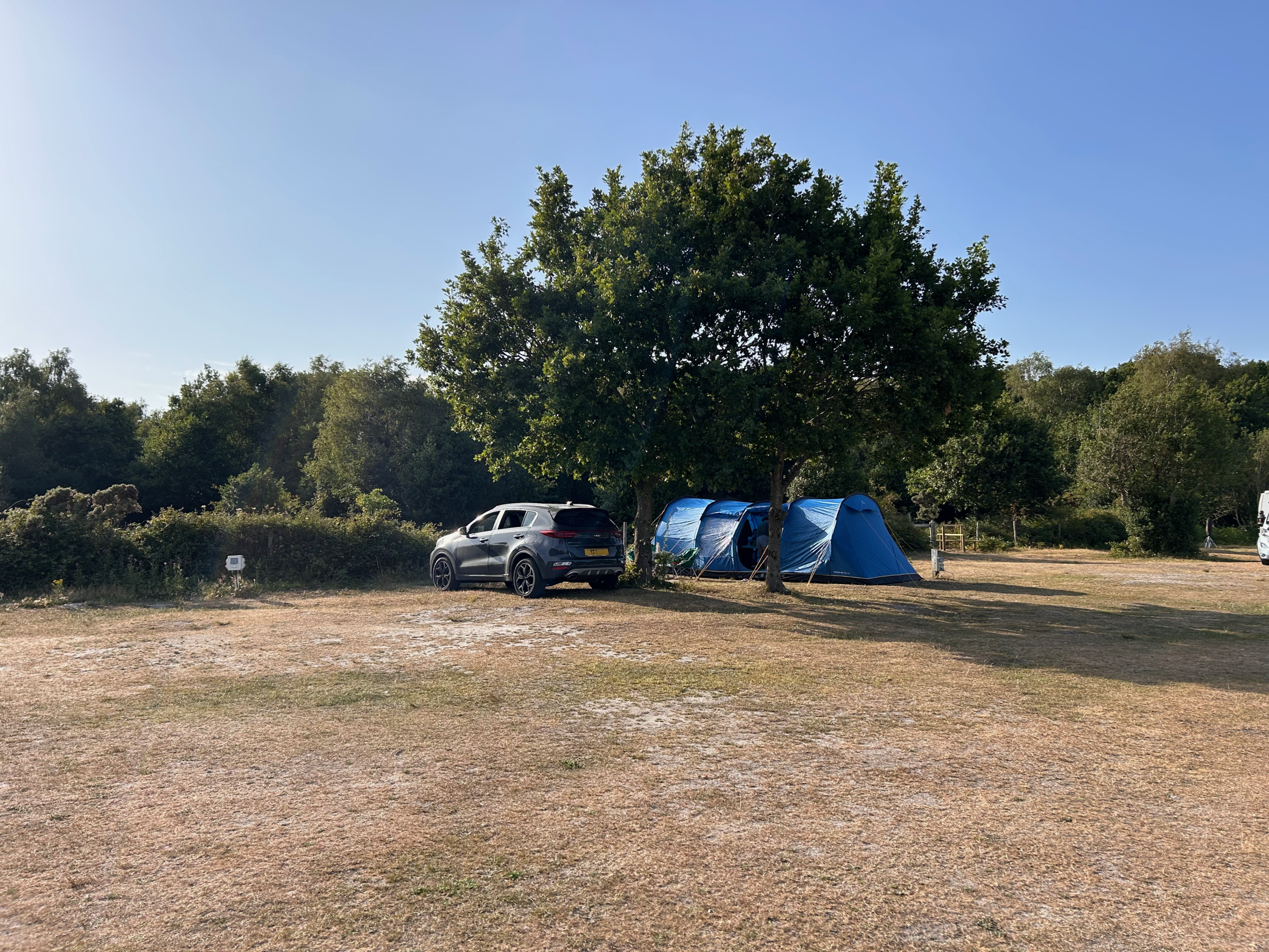 the pitch in golden hour, car and tent tucked under the tree
