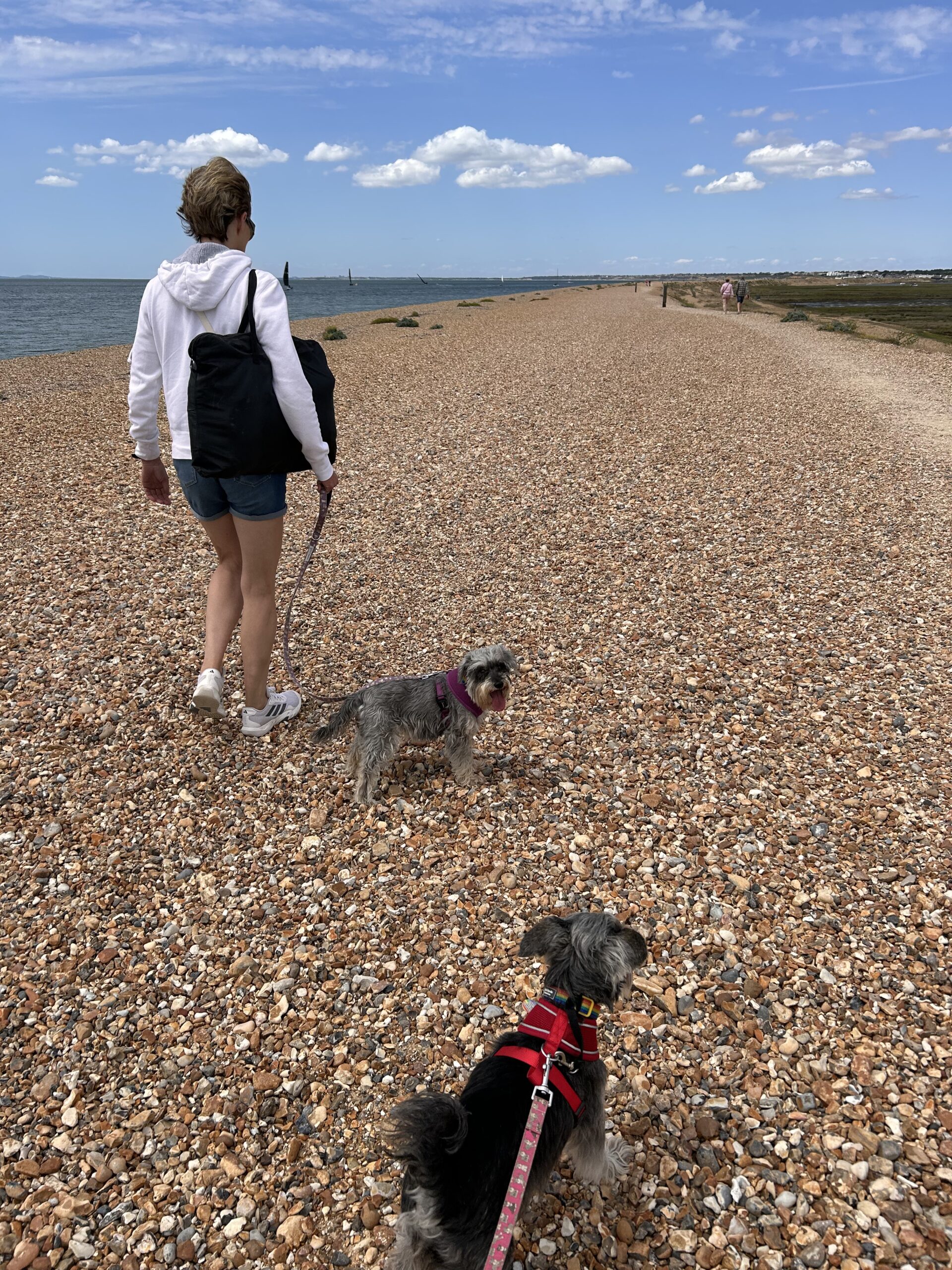 Joanna's partner walking the Hurst Spit ahead, both dogs on lead
