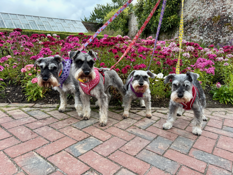 Cornwall with four schnauzers, days two and three: Heligan, Caerhays and Golitha Falls