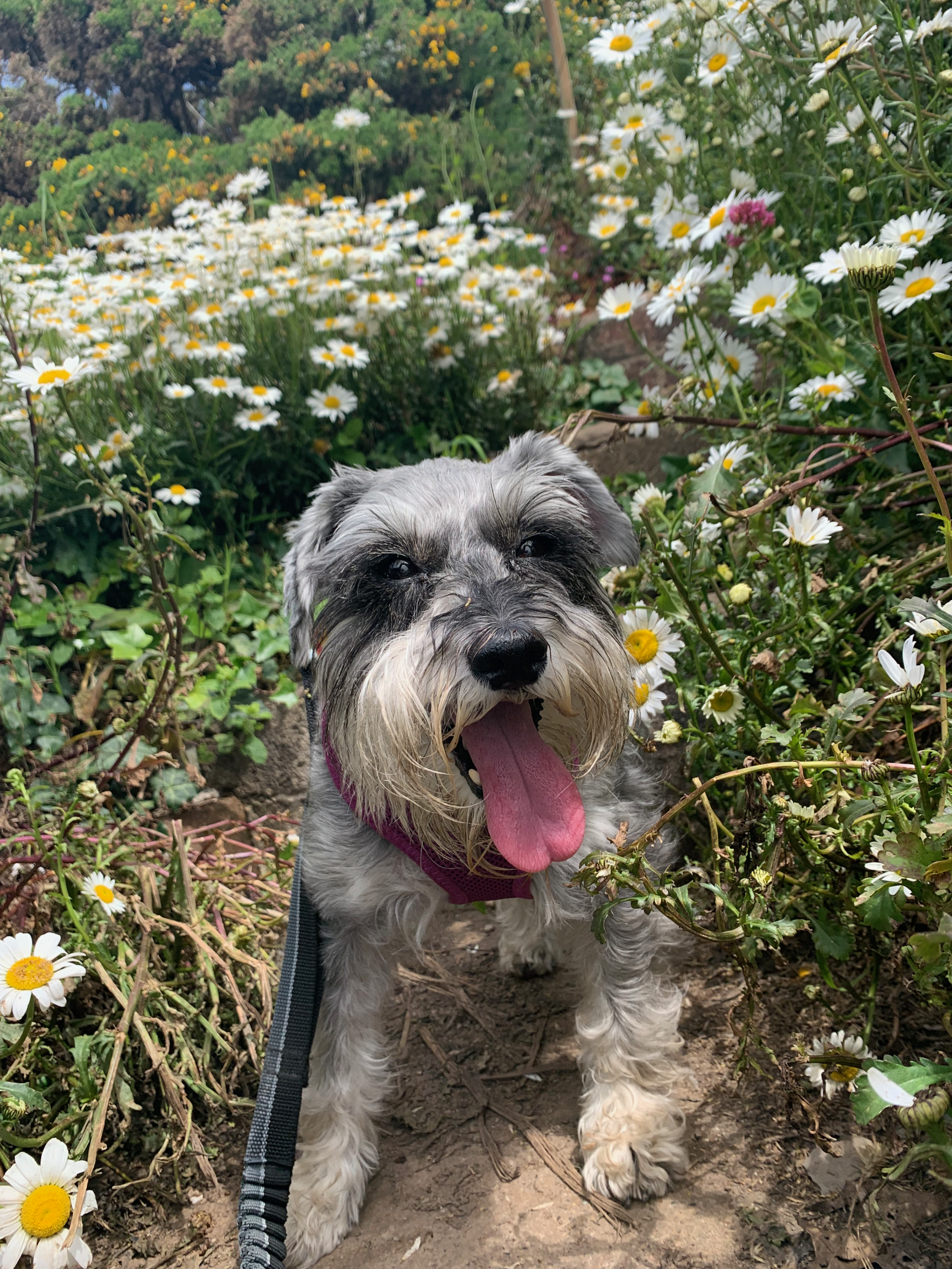 Nell - profile photo