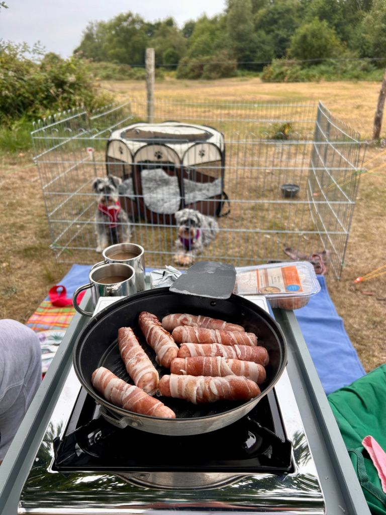 Two nights camping in the New Forest, and the question of what to do about the other two dogs