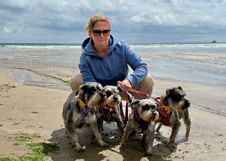 A week in Cornwall with four schnauzers: our stay at Forest Holidays Deerpark