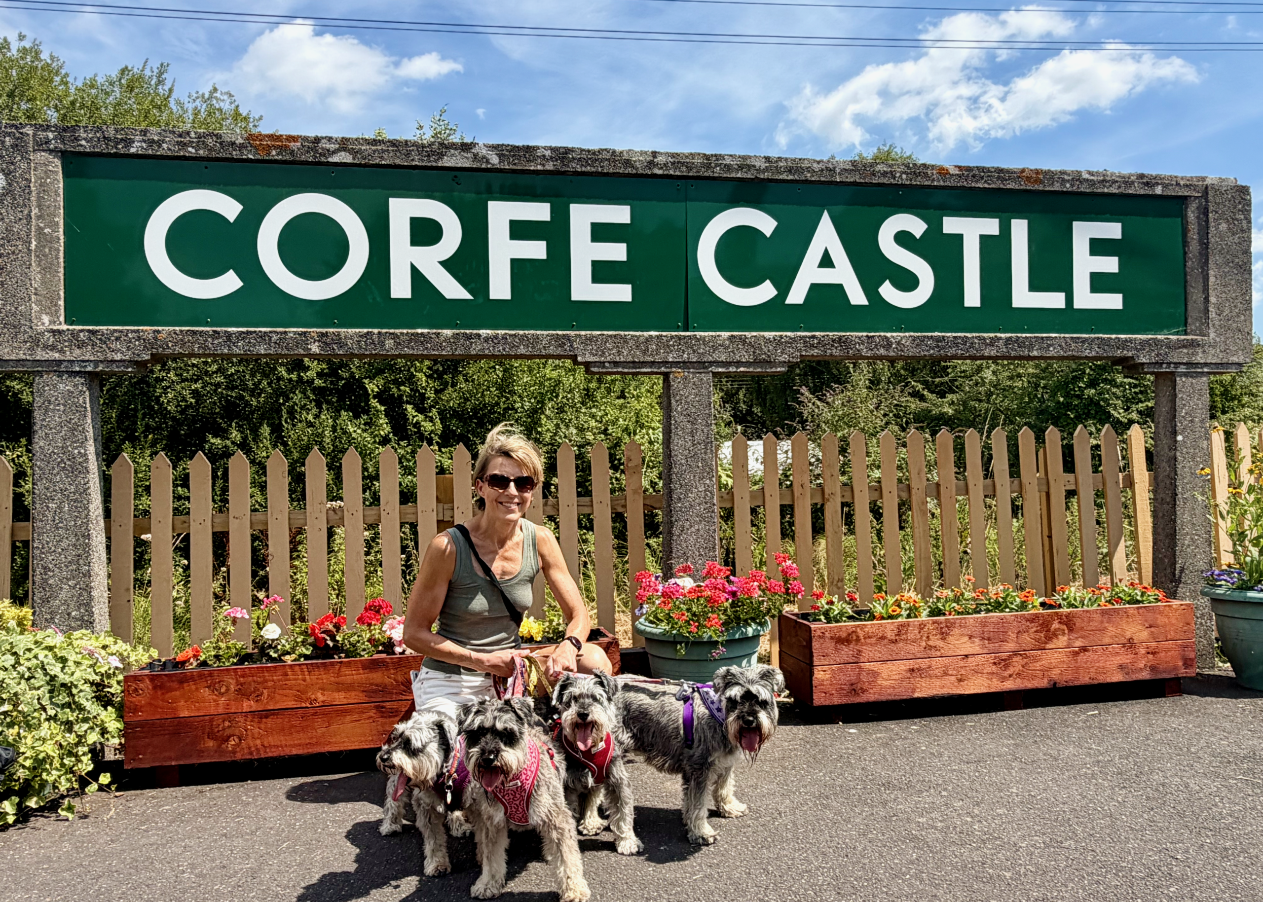 Steam trains, a castle and the sea: a dog-friendly weekend in Dorset